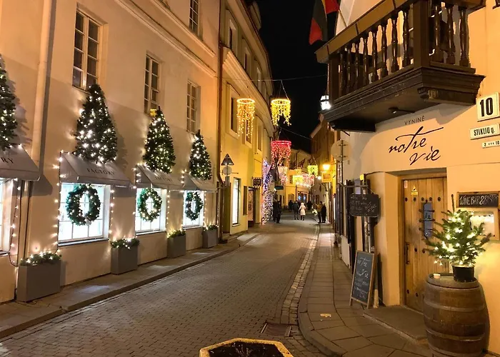 公寓 Very Stikliu Street *