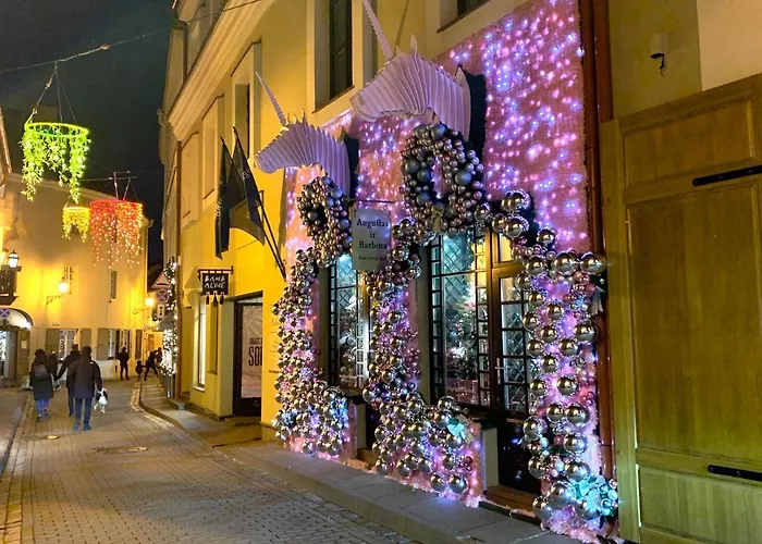 Very Stikliu Street 公寓